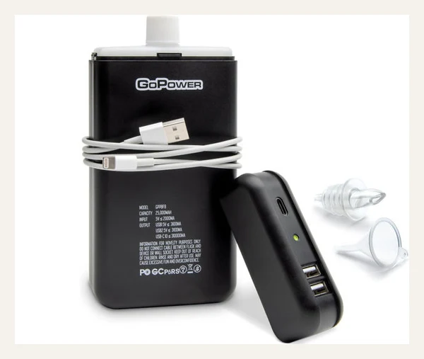 Power Bank Hidden Flask
