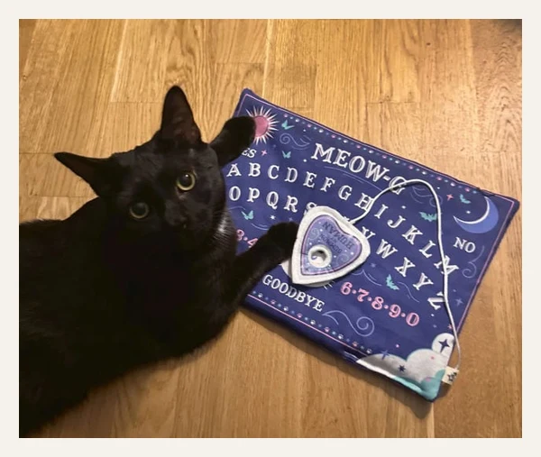 Meow-ji Board Catnip Kitty Playmat