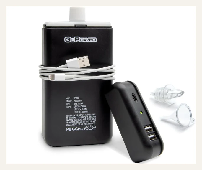 Power Bank Hidden Flask
