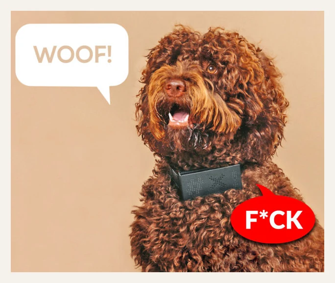 Cuss Collar Bark-to-Curse Dog Collar
