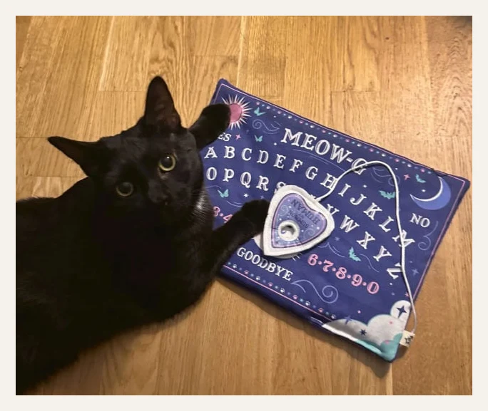 Meow-ji Board Catnip Kitty Playmat