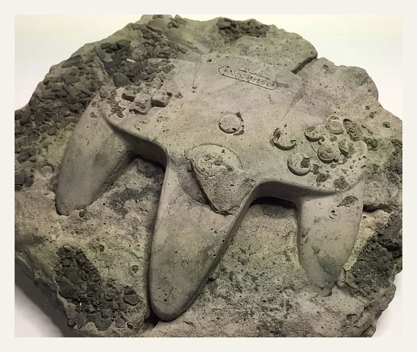 Fossils Of Technology