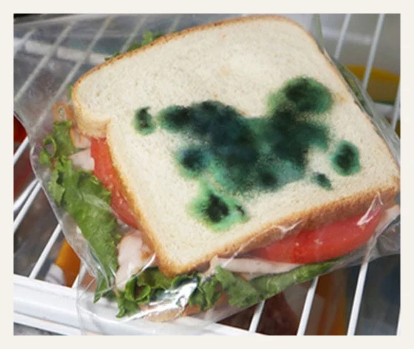 Anti-Theft Moldy Sandwich Bag