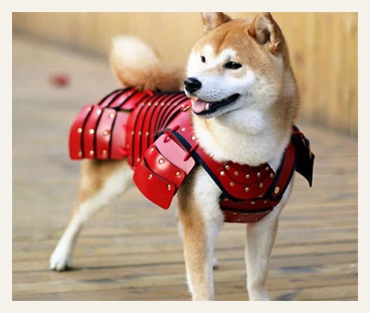 Pet Samurai Armor