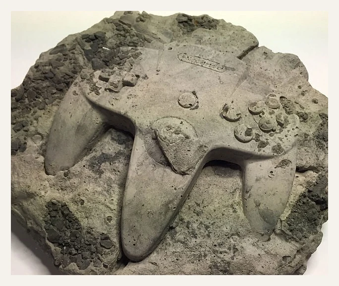 Fossils Of Technology